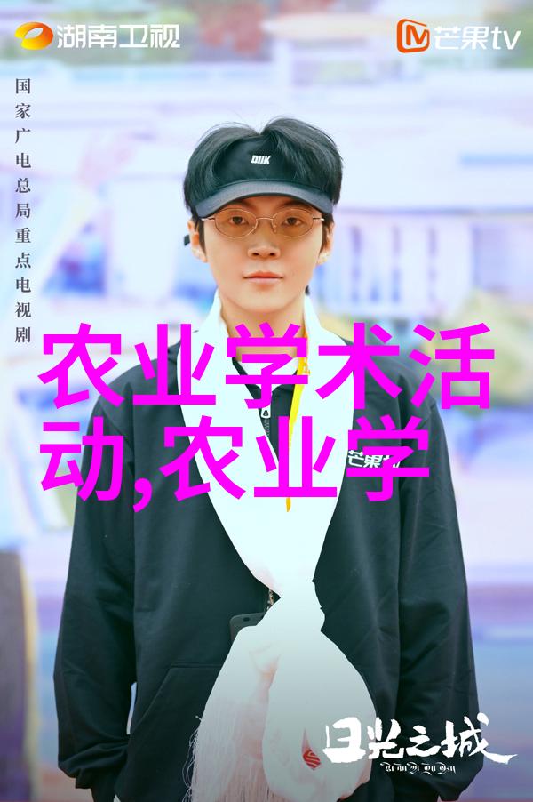 夏日蜜语蜂巢的再生秘密