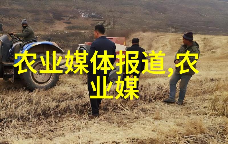 多年生草本花卉的魅力探索常见与罕见之选