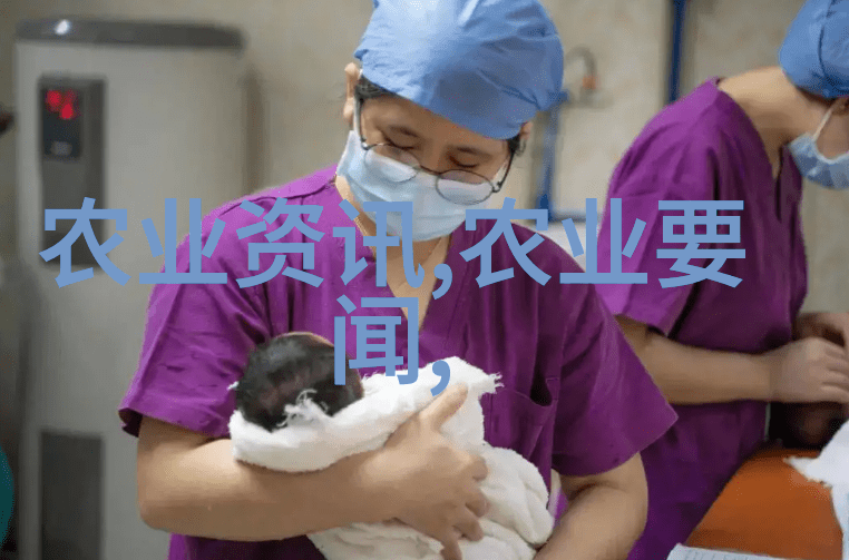养猪大棚建设我来教你如何省钱建猪场
