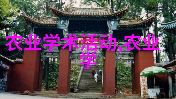 金线莲种植视频我是如何在家中栽培金线莲的