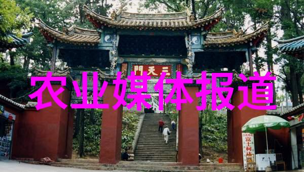 简单易种的水果亲自种一棵树让孩子们感受春天的喜悦