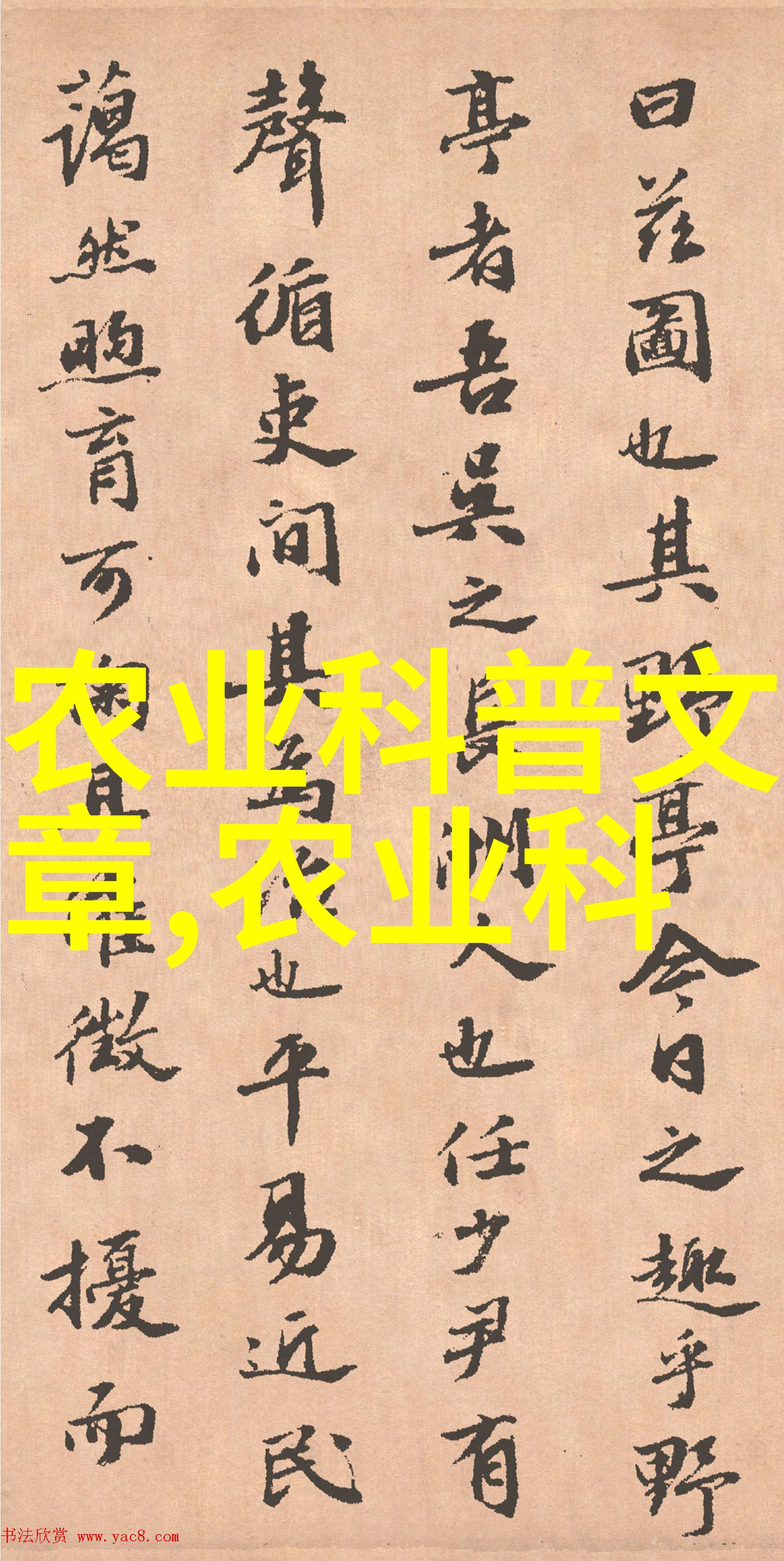 常见菜种子图片及名称-绿意盎然常见蔬菜种子的美丽图集与详细介绍