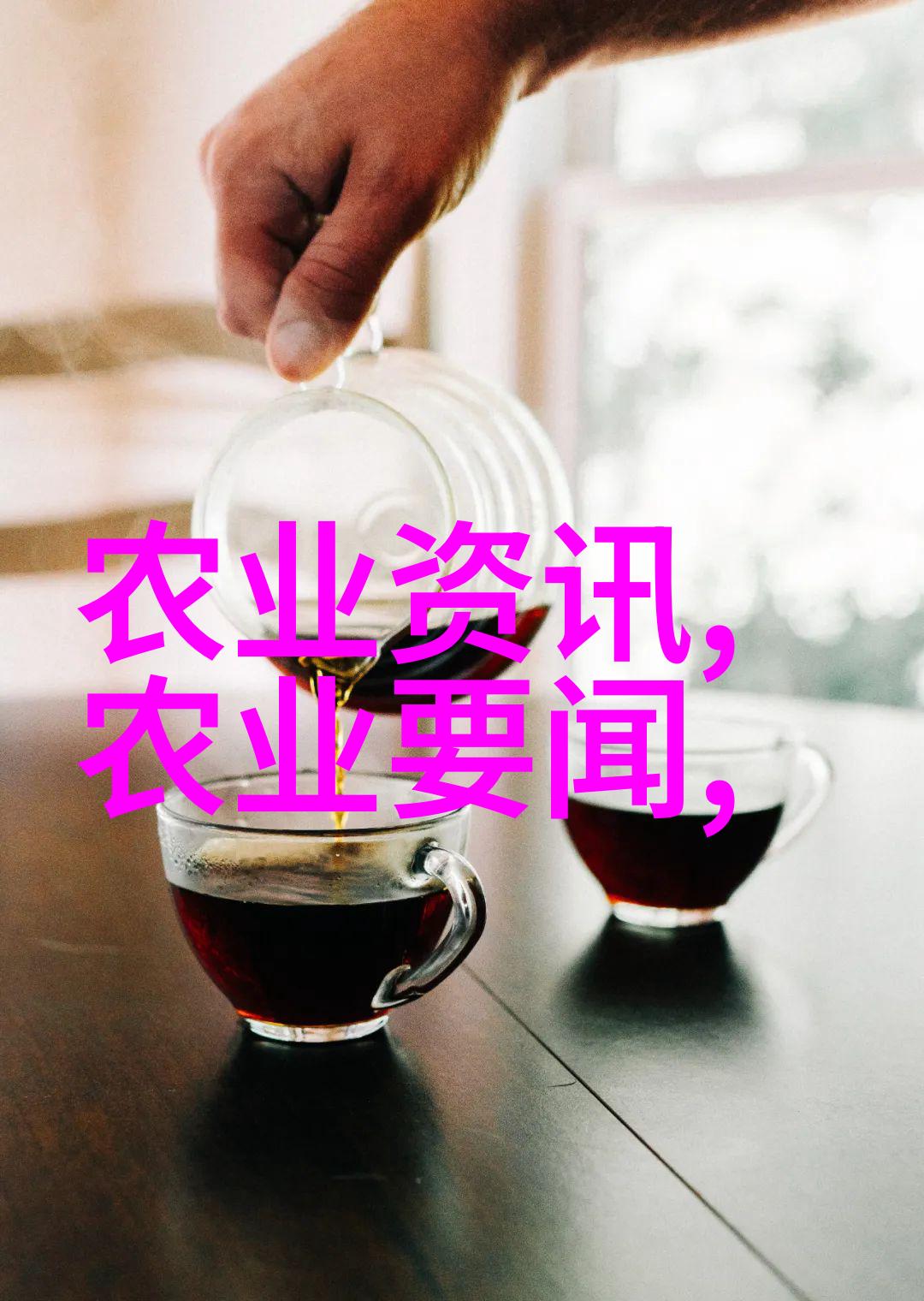从苗木到成品茶树生长周期概述