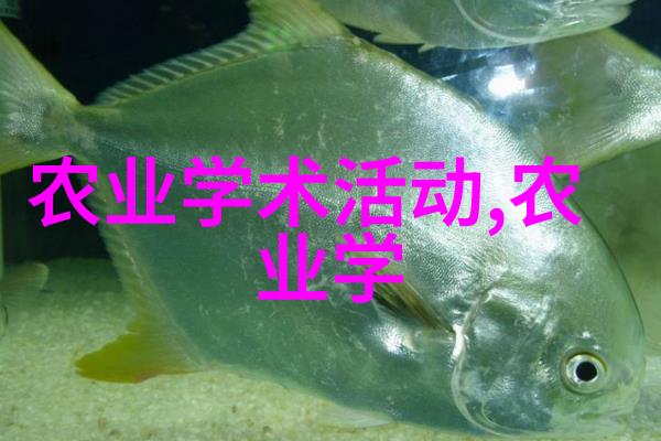 汽车涂装设备专业的车身彩绘系统