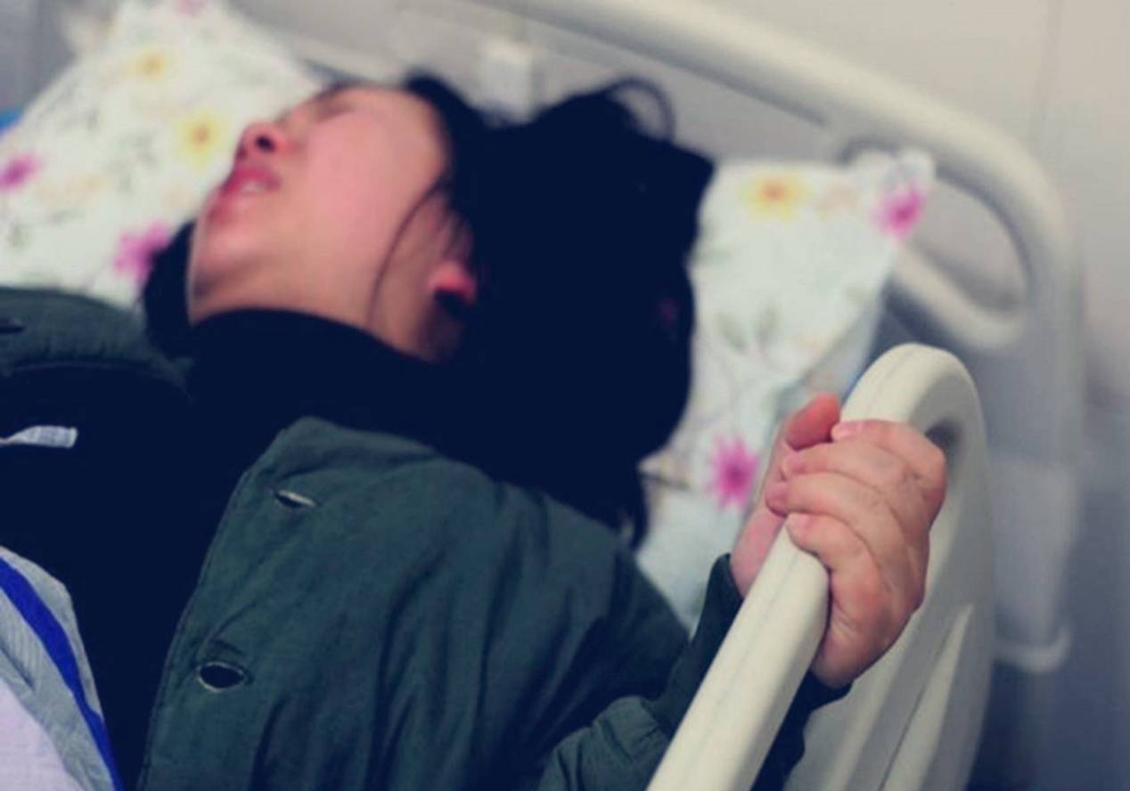 宁静夜晚明媚白日灯笼树和其他照明植物选购指南
