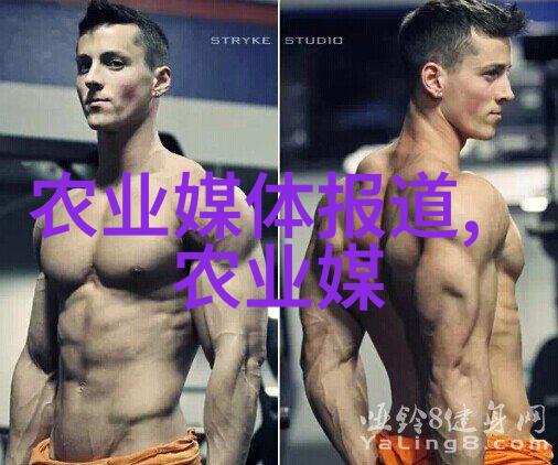 猪趣乱舞揭秘母猪养殖的那些不得了的秘密技巧