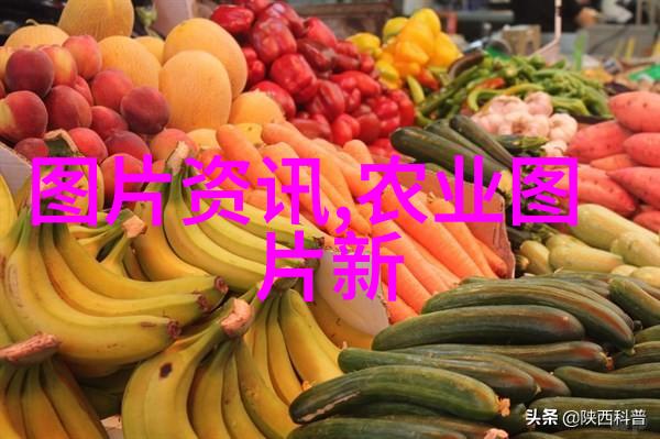 种植一亩大棚香椿要多少成本我是怎么算出种一亩香椿大棚需要多少钱的