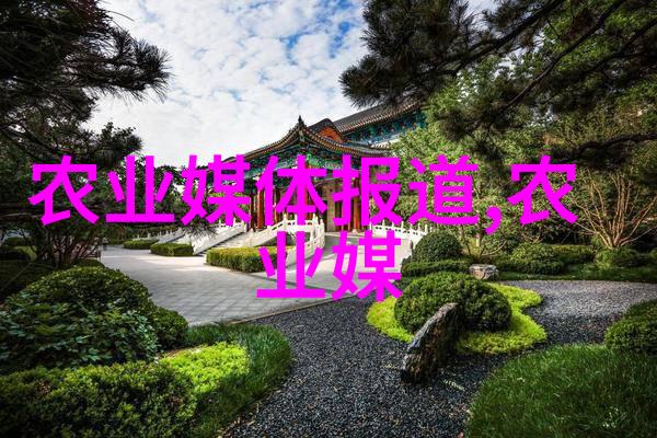 中草药的种植前景与分析咱们来聊聊这份绿意盎然的未来
