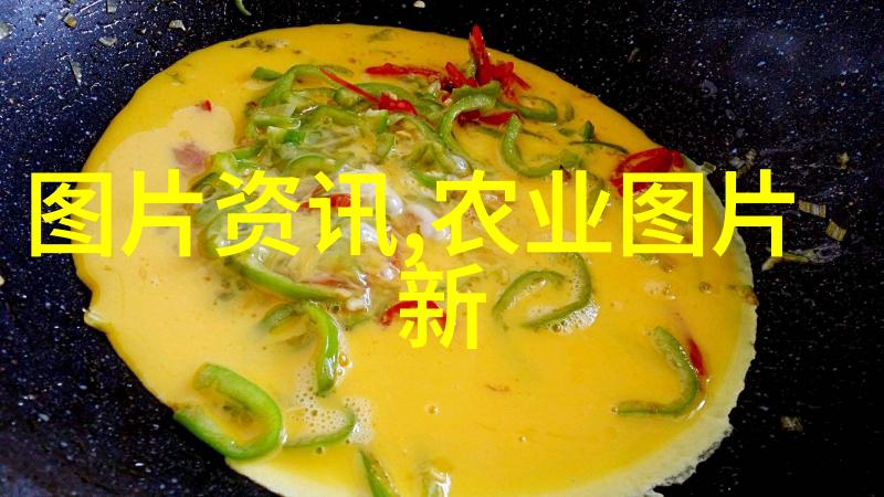 数字艺术探索专升本之路的创新考察