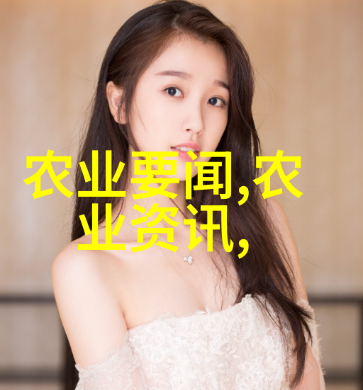 蜜蜂养殖的艺术与科技从基础到精髓