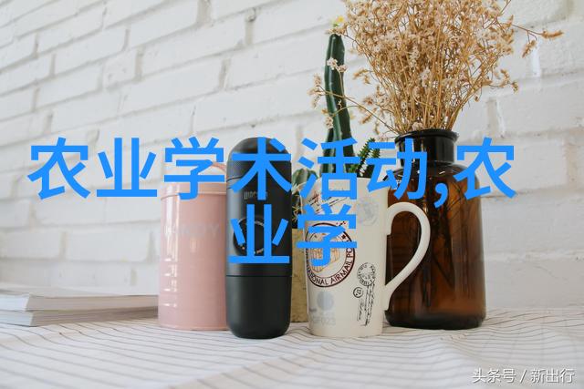 坏蛋成长史揭秘最新章节的关键转折点