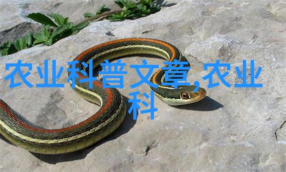 牧民富足梦想一步步靠近政府为何推出养羊补贴计划
