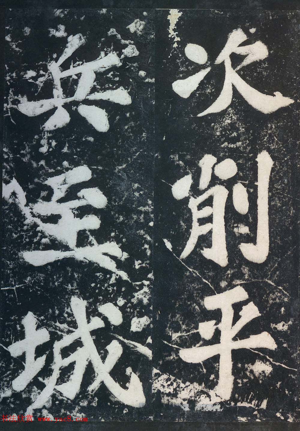 药材种苗批发-绿色药园高品质药材种苗批发与市场趋势