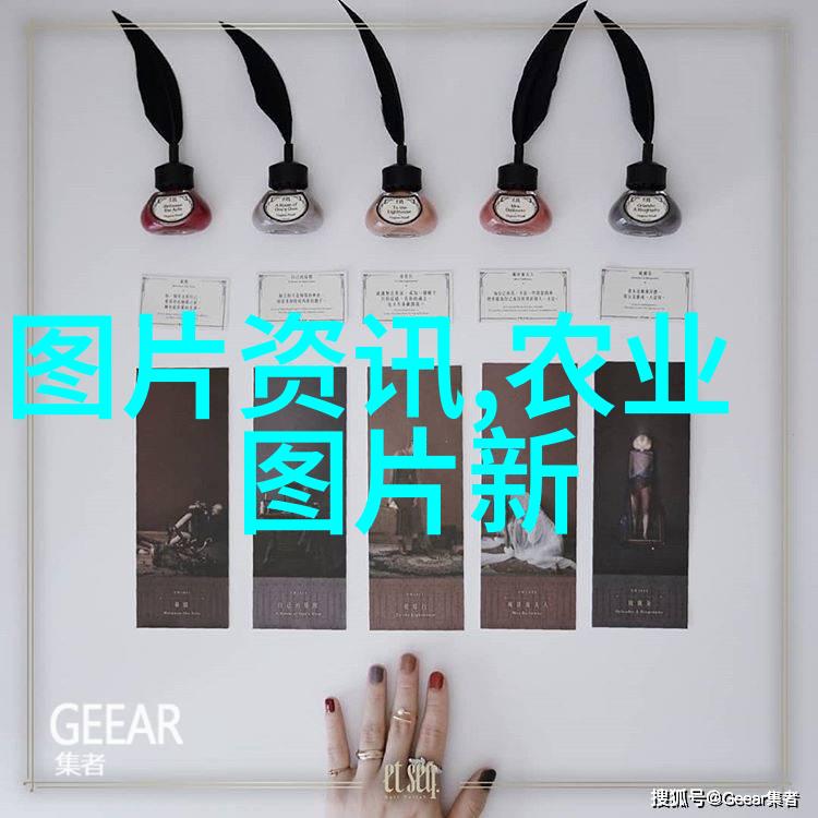 2023年养羊政策调整与补贴信息概览养殖补贴政策