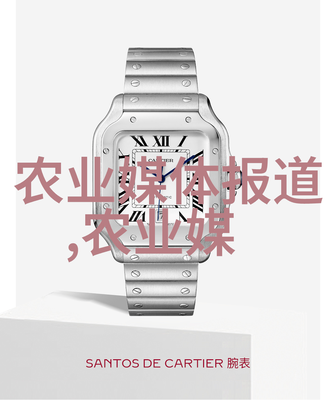 从种植到泡制走进中国茶叶生产的全过程