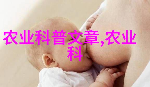 野菜探秘一本可食用的全息指南