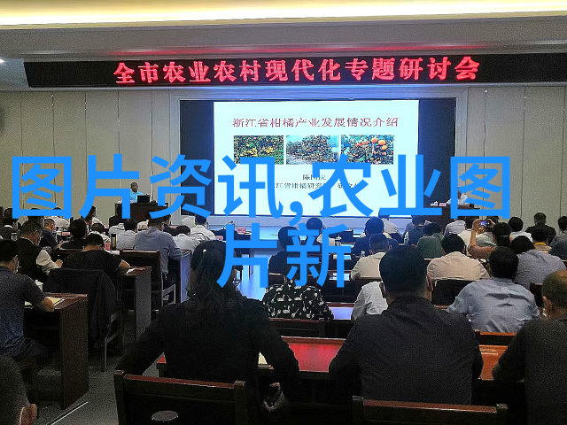 小狗的心灵语录理解它们真正的情感表达