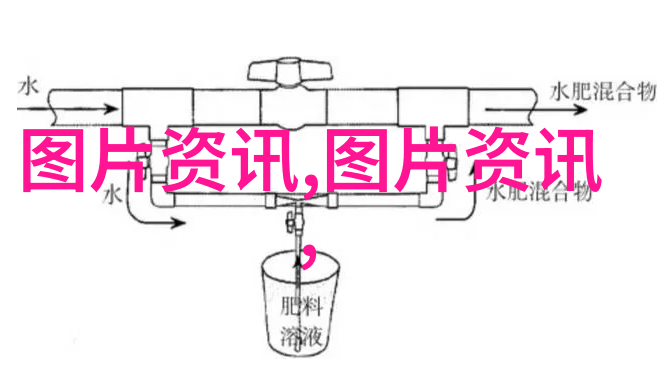 江西红花的药用价值与种植技术探究