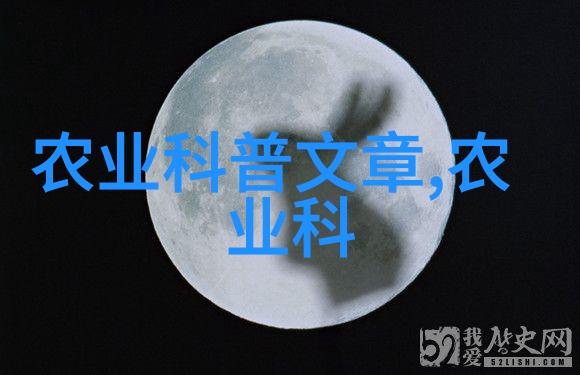 中国最先进履带旋耕机-碾压未来中国最先进履带旋耕机的革命性农业创新