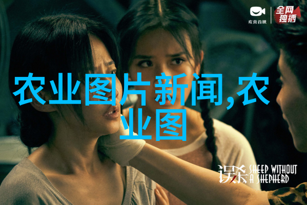 科学养牛技术大全-精准饲养与高效管理提升牧场产能的关键策略