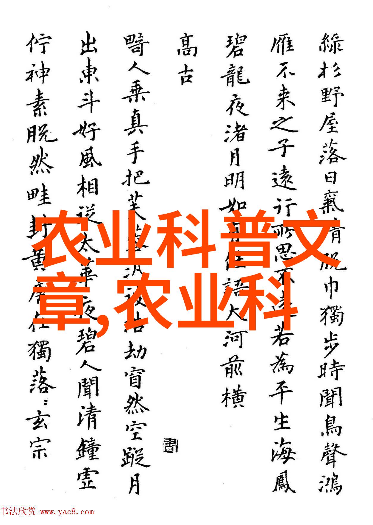 12公分木瓜树的市场定价种植爱好者的最佳选择