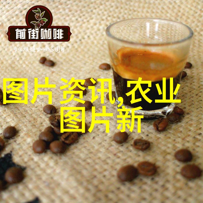 学技术者心中的问题哪个领域未来最具发展潜力