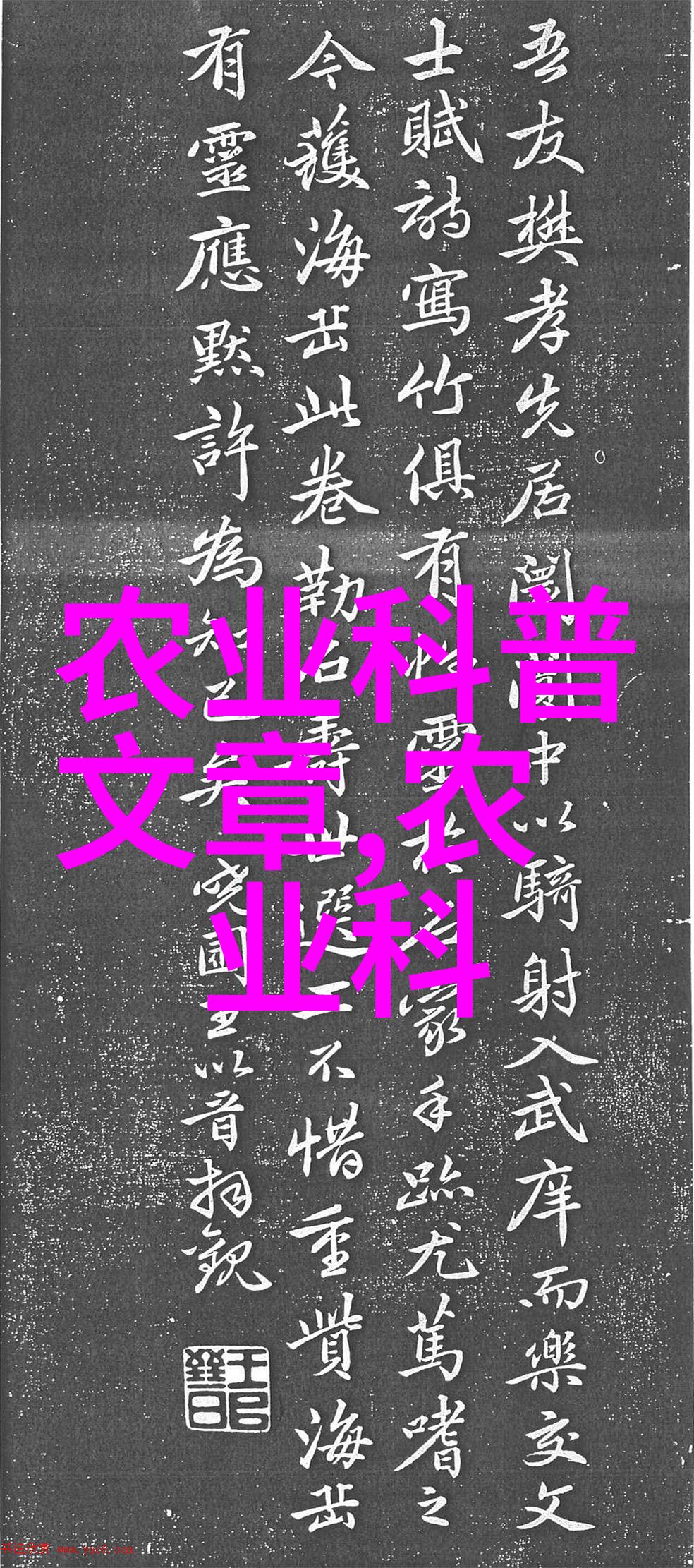 室内四季花园选择适合养护的植物