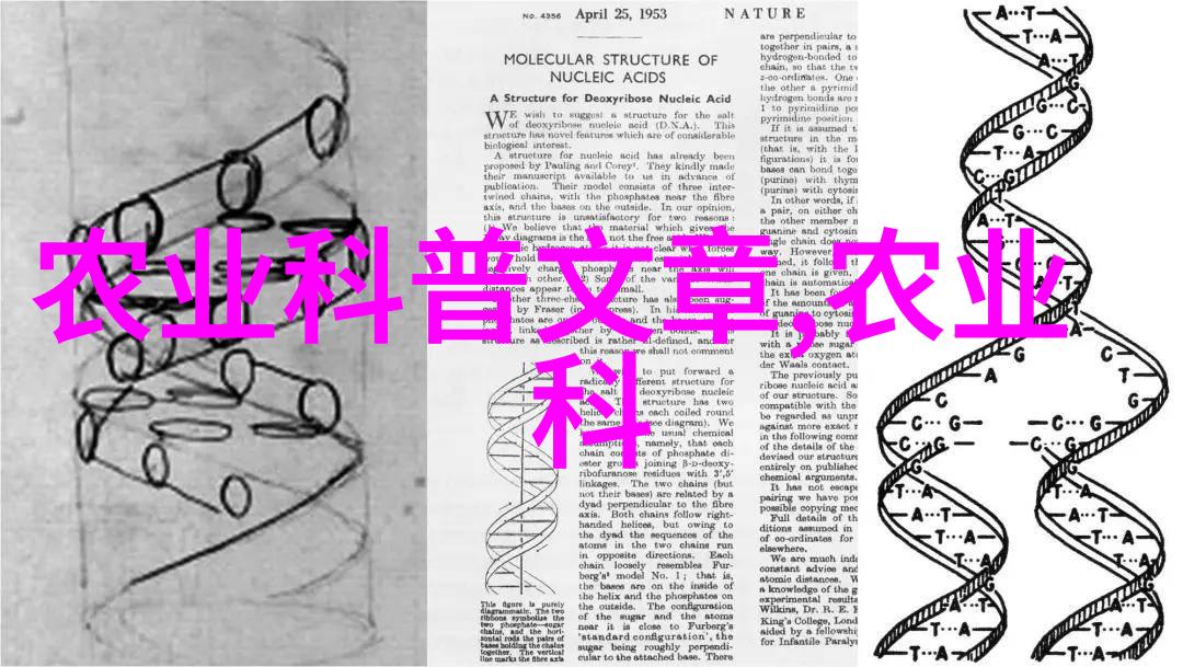 从零到英雄如何选择适合自己的小规模肉类养殖项目