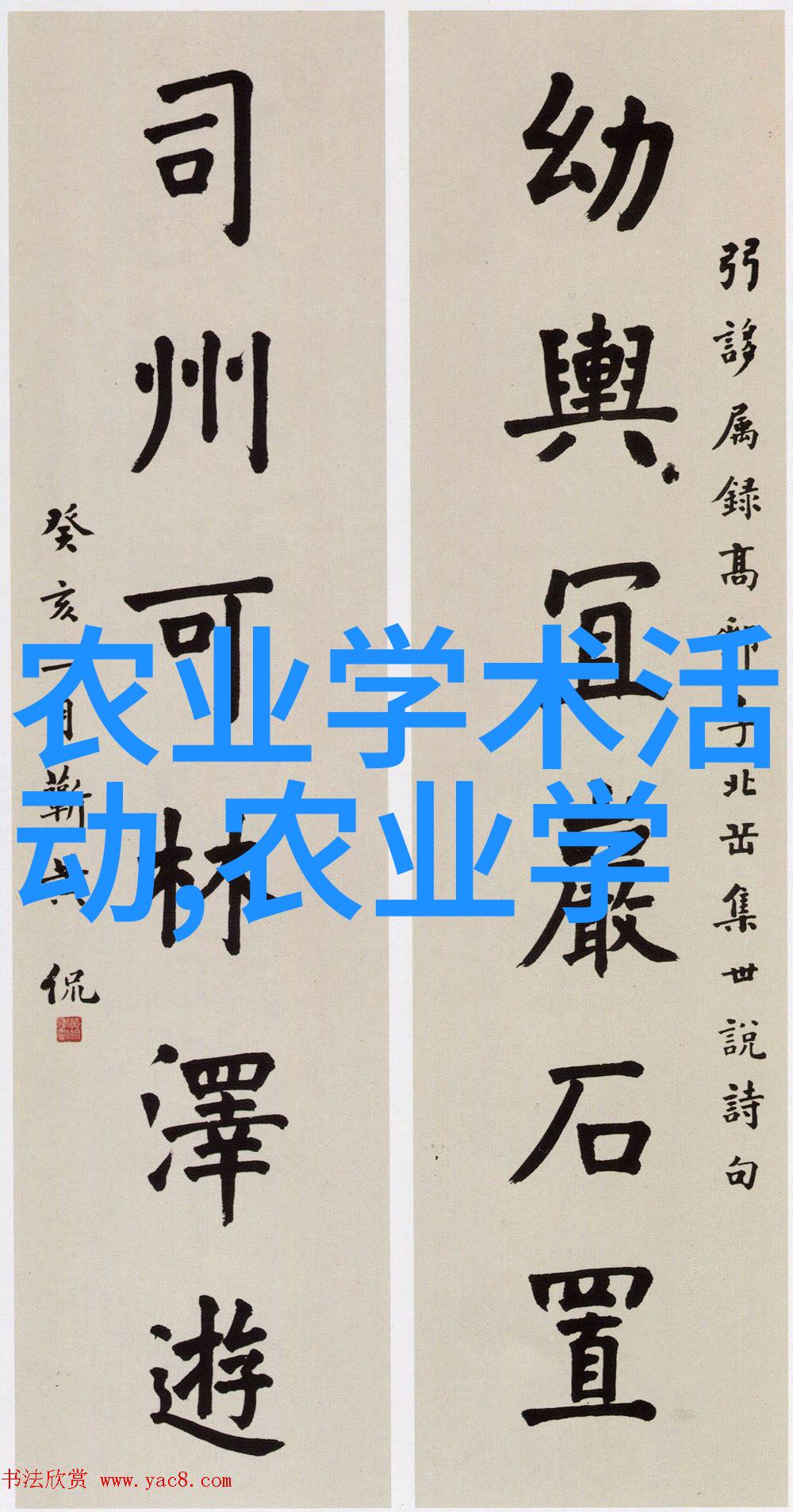 屋顶上的蔬菜室内绿色种植方法简介