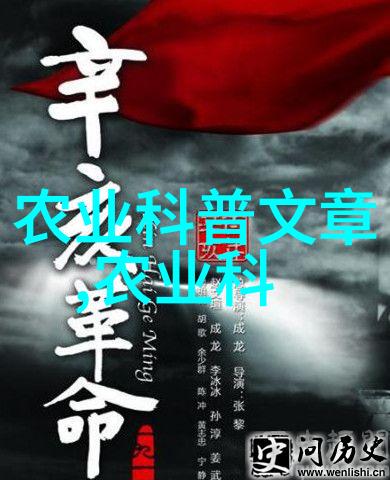 牧场之谜追寻羊群的秘密