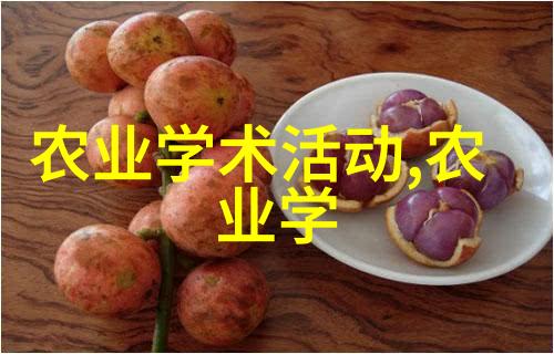 无土大棚蔬菜种植流程-从准备到收获绿色生态的智慧之旅