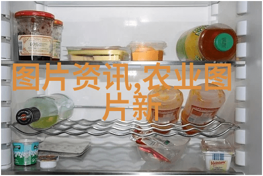民法典全部内容我怎么还没读完这门课民法典的全貌探索
