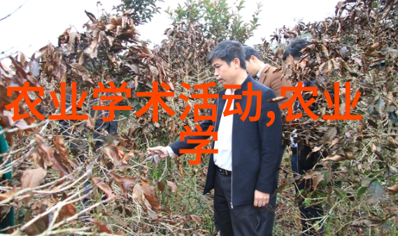 无人机助力农田管理新一代航空科技如何改变种植模式