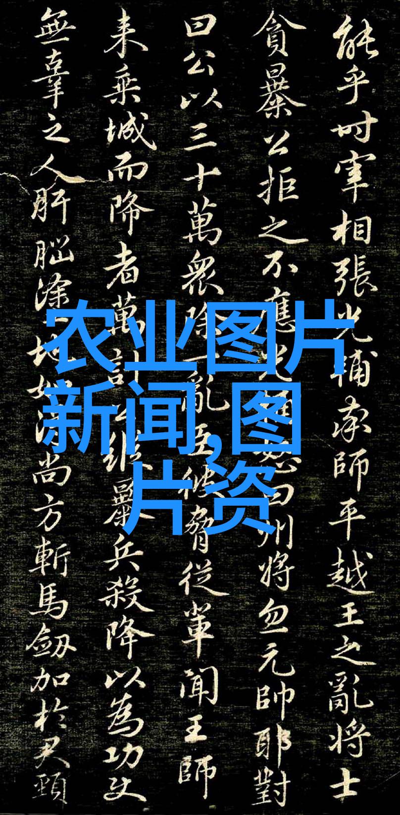 板蓝根种植技巧与生长环境条件板蓝根栽培方法板蓝根适宜温度板蓝根土壤需求