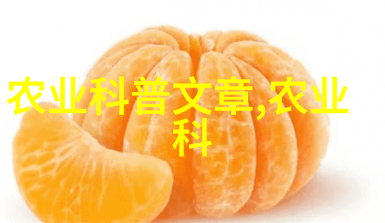 亲子共享时刻在家中共同参与阴凉处植物育护