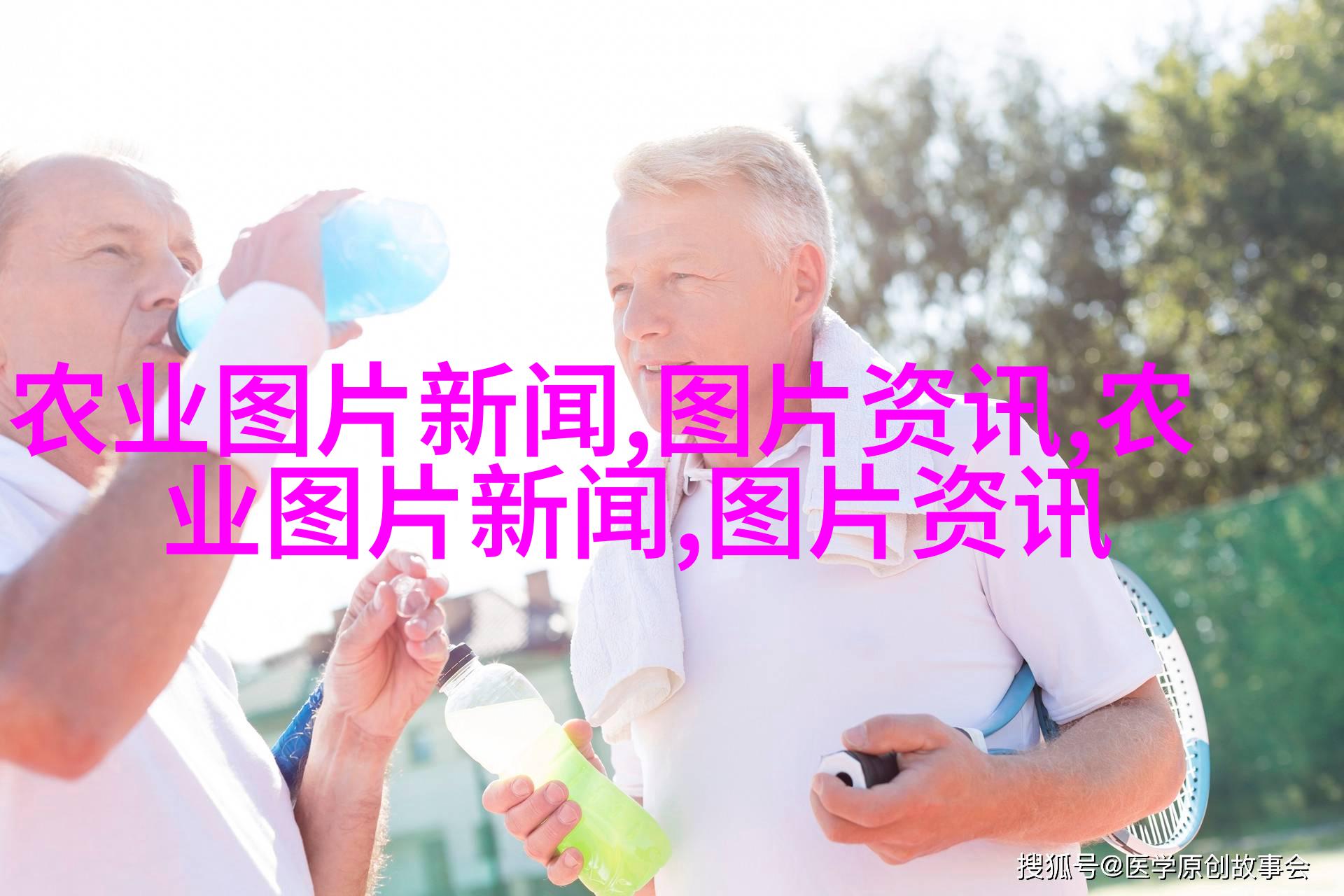仙人掌