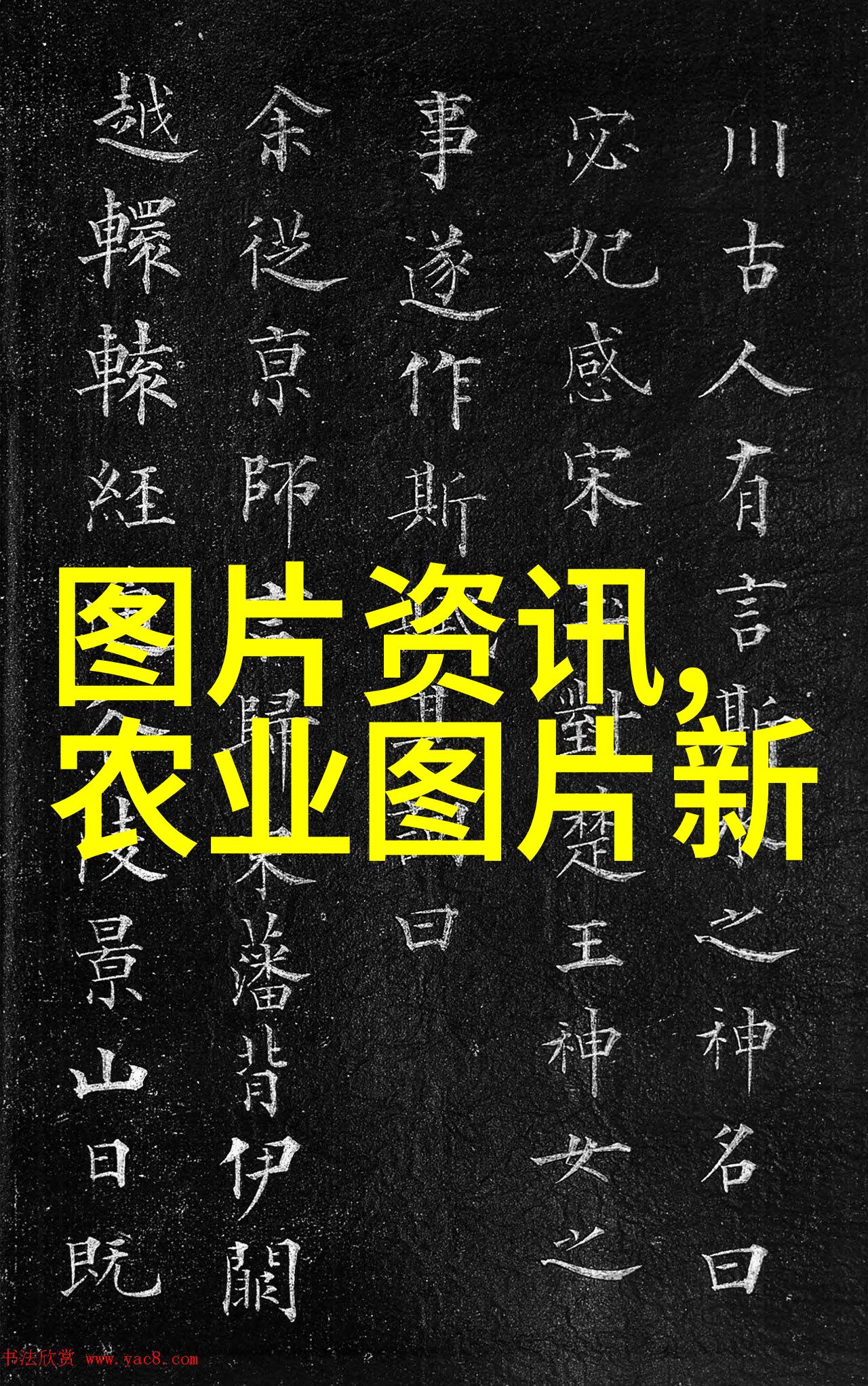 森林之心绿化苗木征地补偿的新篇章