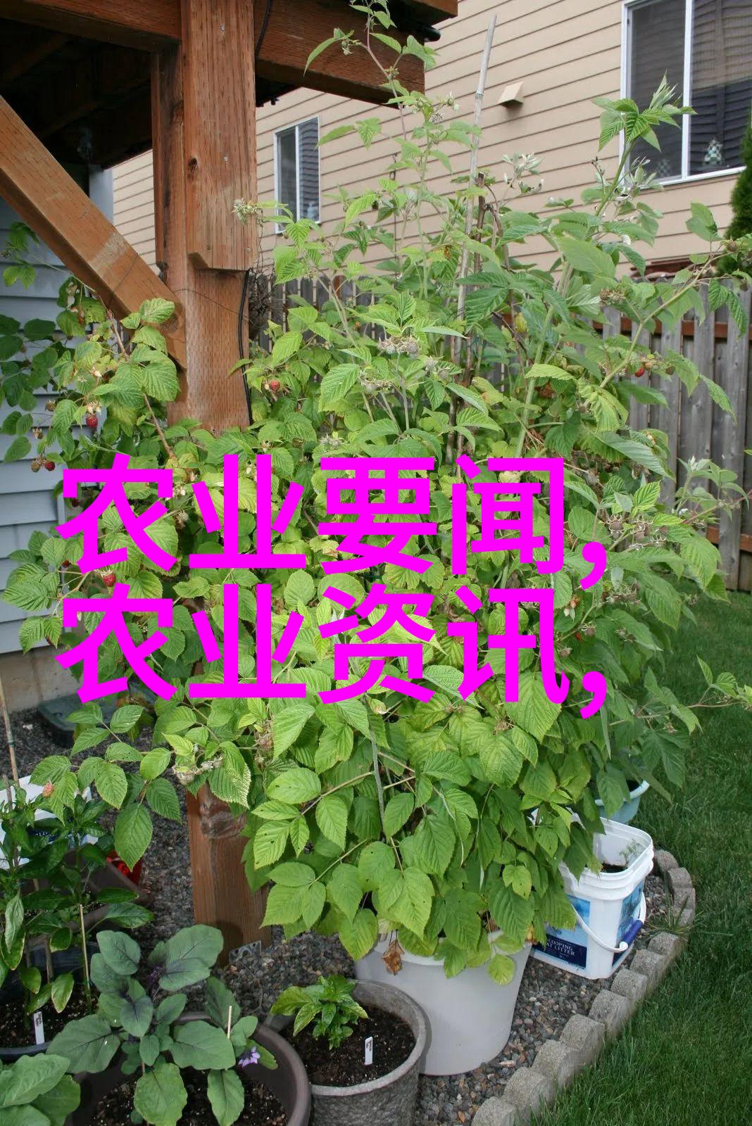 手扶小型旋耕机我家的小黄牛能不能再勤快一点