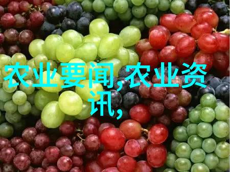 缅甸中文网新闻今日经济复苏步伐稳健旅游业迎来新机遇
