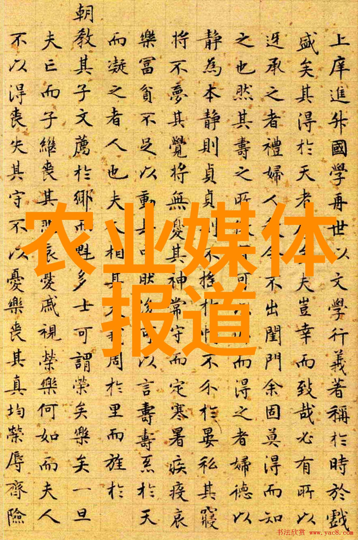 种植蔬菜技巧大全我来教你怎么在家里搞个小花园