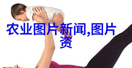 花卉的魅力颜彩中带来的生态与艺术美