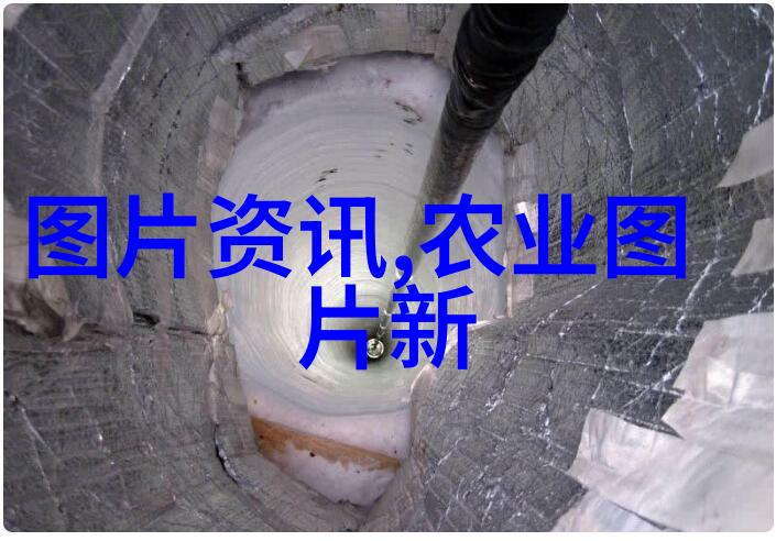 牛圈羊群之争探究牧场生态与动物行为学的相互作用