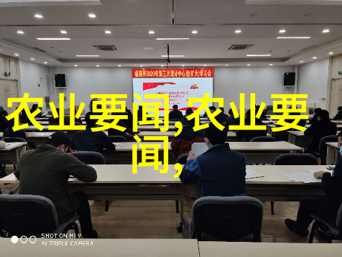 从初学者到专业人士养猪的基本知识