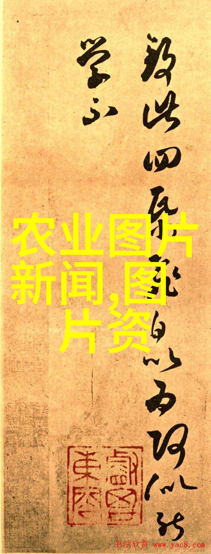 水果种子哪些水果可以用种子进行种植