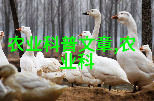 蔬菜种植冬季 - 冻土春芽巧妙应对寒冷挑战的冬季蔬菜养殖技巧