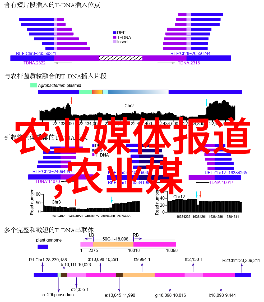 升降机之旅揭秘机械臂与楼宇间的无缝对话
