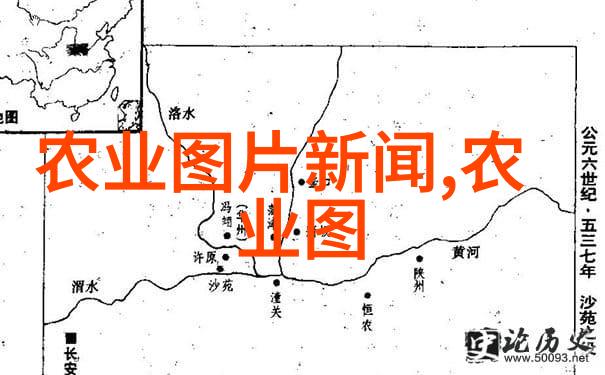 农业科技-高效蝗虫养殖技术与管理实践