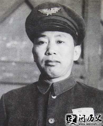 豌豆的魅力与应用