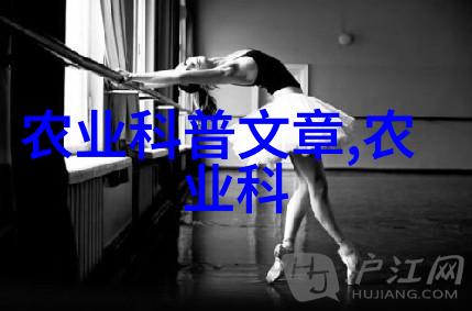 家里水培蔬菜的荒谬冒险