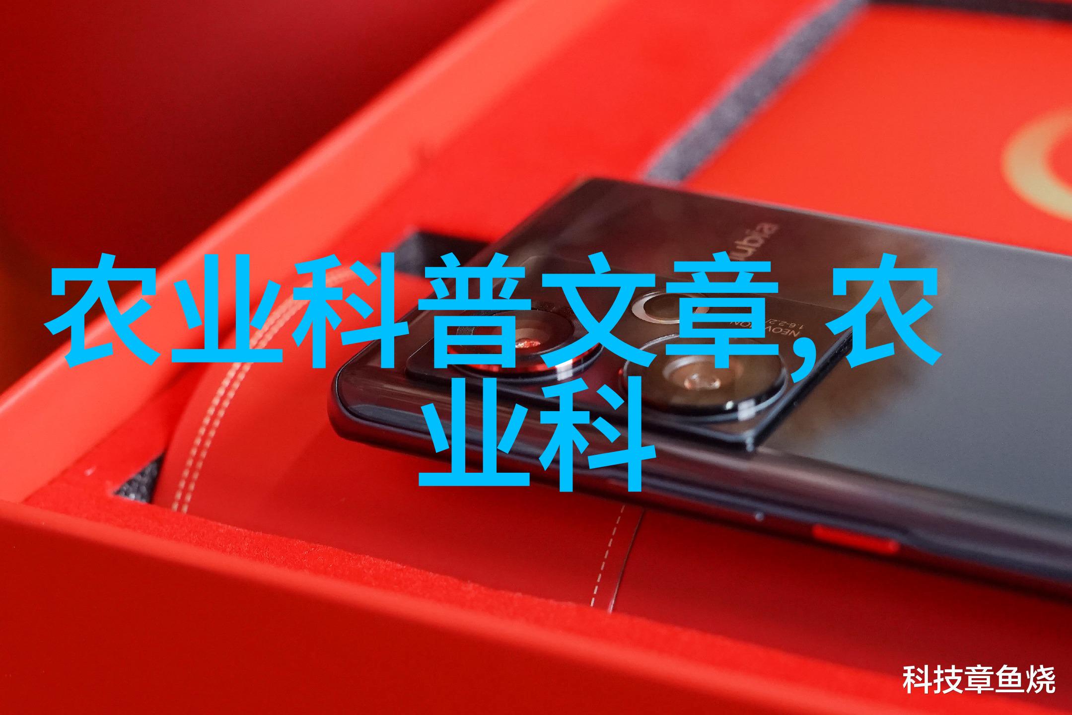 卧室植物禁忌专家揭秘为什么不宜摆放绿色朋友